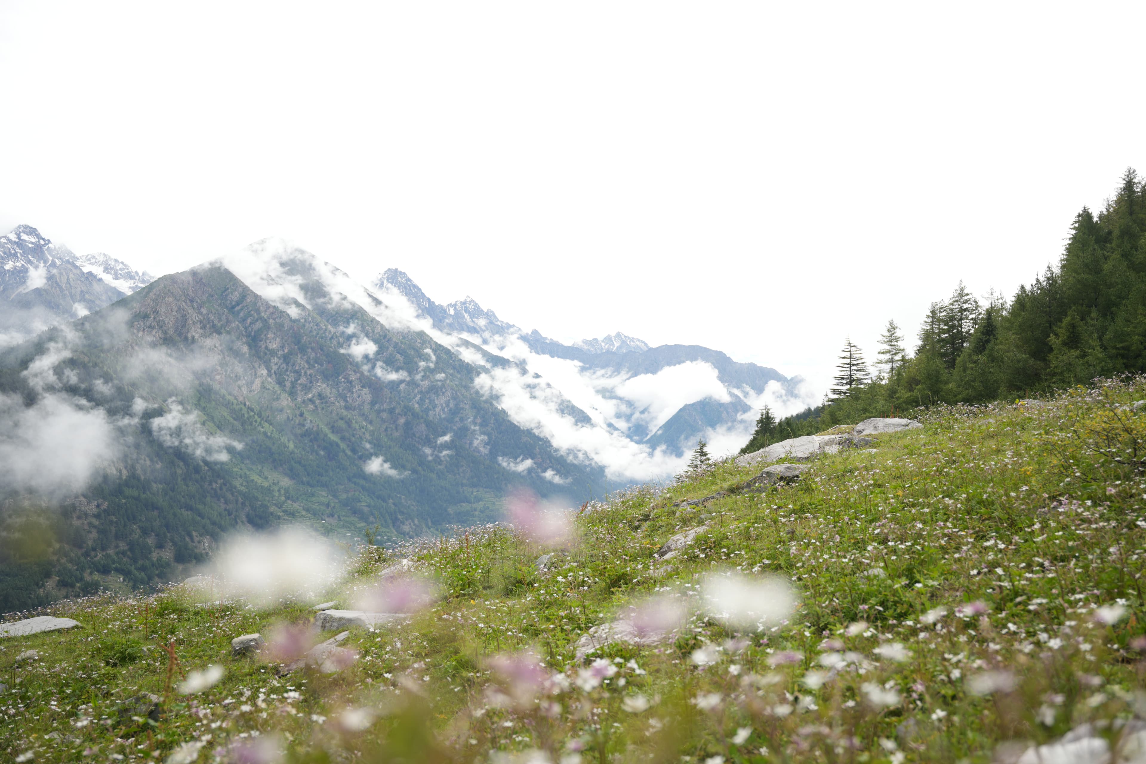 Nature Immersion